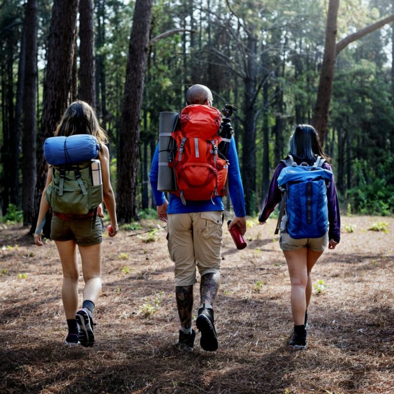 Hiking Hiker Destination Camping Backpacker Concept